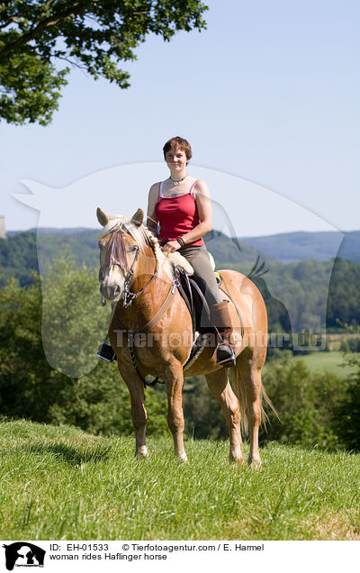 Frau reitet Haflinger / woman rides Haflinger horse / EH-01533