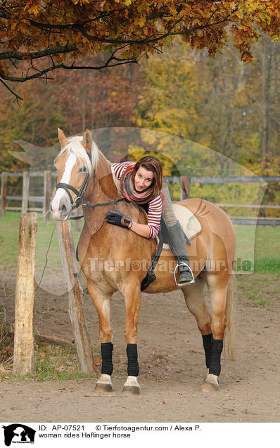 Frau reitet Haflinger / woman rides Haflinger horse / AP-07521