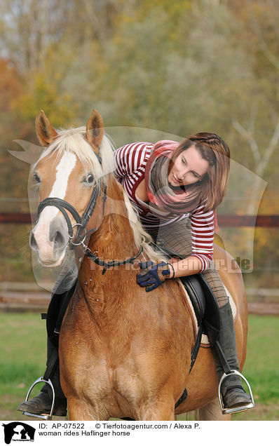 Frau reitet Haflinger / woman rides Haflinger horse / AP-07522