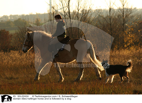 Frau reitet Haflinger / woman rides haflinger horse / SS-22424