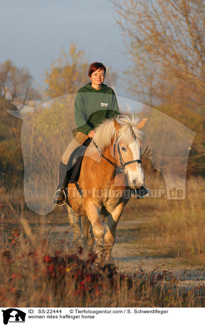 Frau reitet Haflinger / woman rides haflinger horse / SS-22444