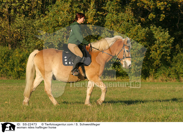 Frau reitet Haflinger / woman rides haflinger horse / SS-22473