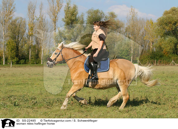 Frau reitet Haflinger / woman rides haflinger horse / SS-22485