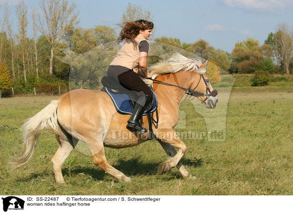 Frau reitet Haflinger / woman rides haflinger horse / SS-22487