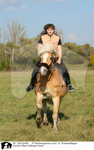 woman rides haflinger horse / SS-22490