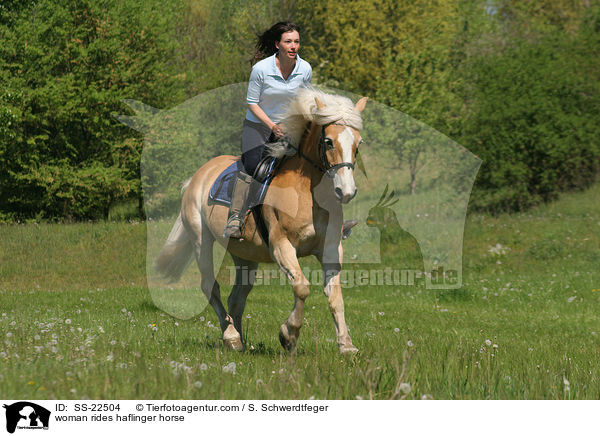 Frau reitet Haflinger / woman rides haflinger horse / SS-22504