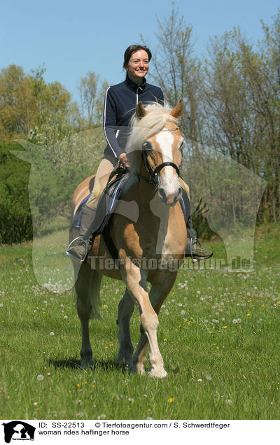 Frau reitet Haflinger / woman rides haflinger horse / SS-22513