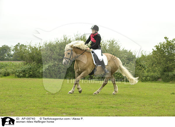 Frau reitet Haflinger / woman rides Haflinger horse / AP-08740