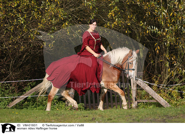 Frau reitet Haflinger / woman rides Haflinger horse / VM-01601