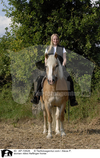 Frau reitet Haflinger / woman rides Haflinger horse / AP-10626