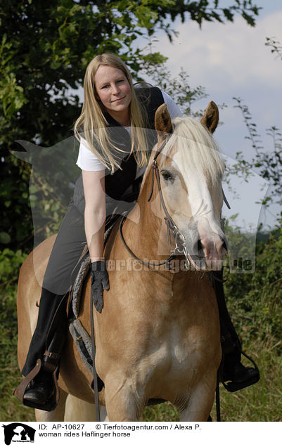 woman rides Haflinger horse / AP-10627