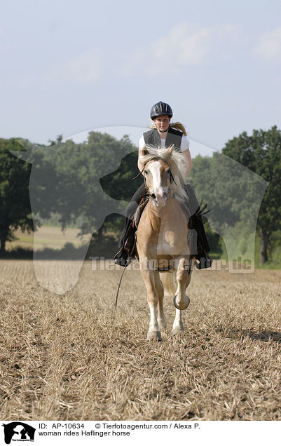 Frau reitet Haflinger / woman rides Haflinger horse / AP-10634