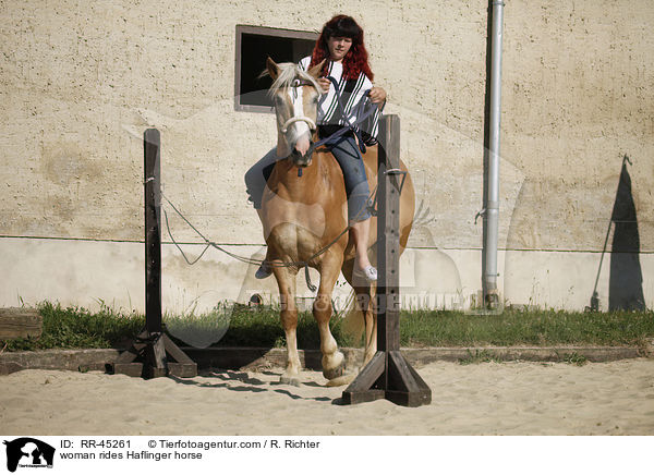 Frau reitet Haflinger / woman rides Haflinger horse / RR-45261