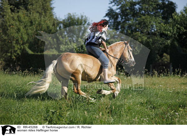 Frau reitet Haflinger / woman rides Haflinger horse / RR-45268