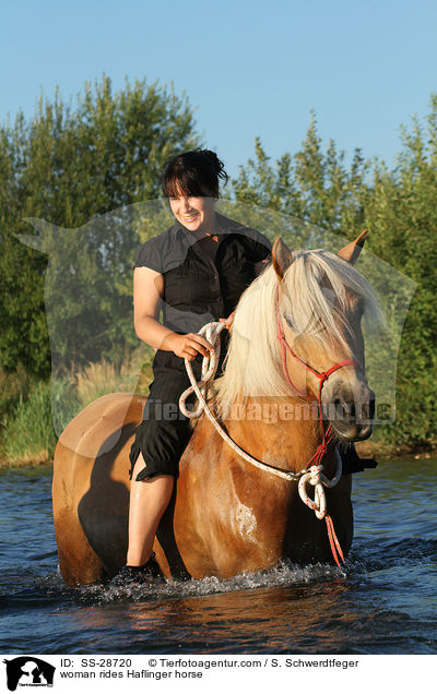 Frau reitet Haflinger / woman rides Haflinger horse / SS-28720