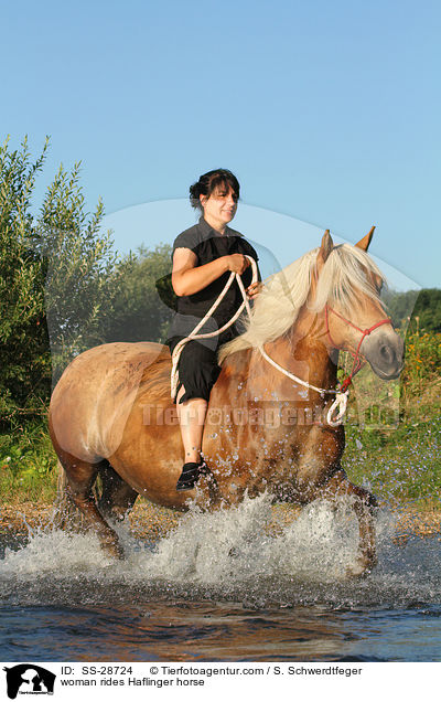 Frau reitet Haflinger / woman rides Haflinger horse / SS-28724