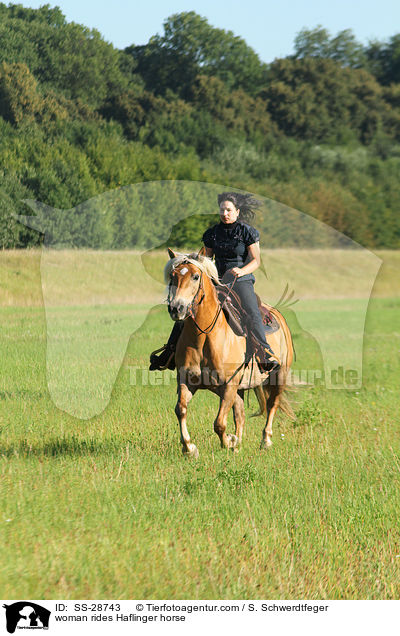 Frau reitet Haflinger / woman rides Haflinger horse / SS-28743