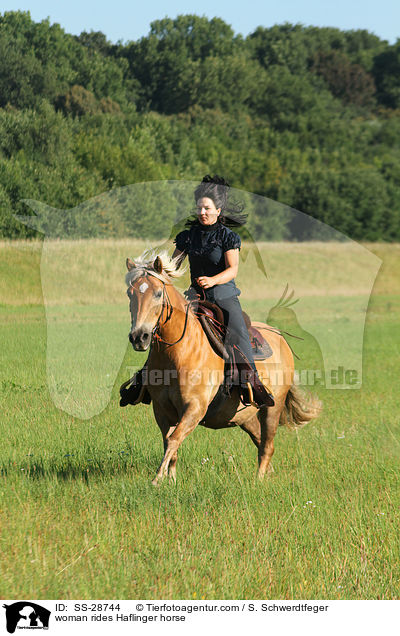 Frau reitet Haflinger / woman rides Haflinger horse / SS-28744