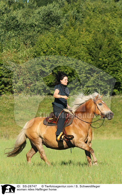 Frau reitet Haflinger / woman rides Haflinger horse / SS-28747