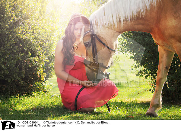 Frau und Haflinger / woman and Haflinger horse / CDE-01901