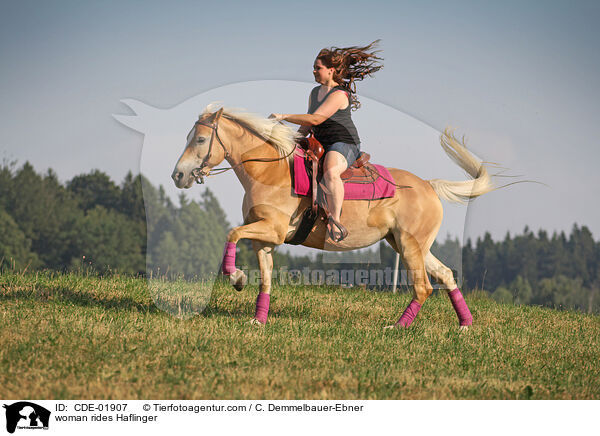 Frau reitet Haflinger / woman rides Haflinger / CDE-01907