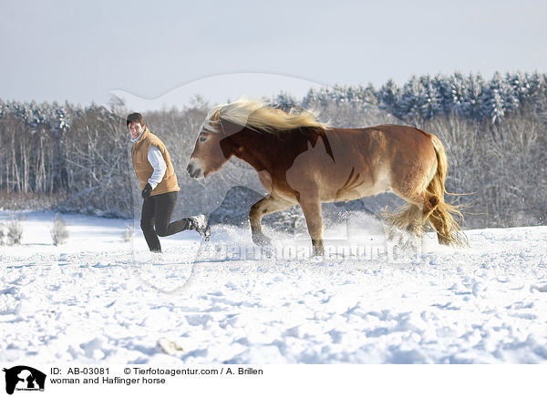 Frau und Haflinger / woman and Haflinger horse / AB-03081