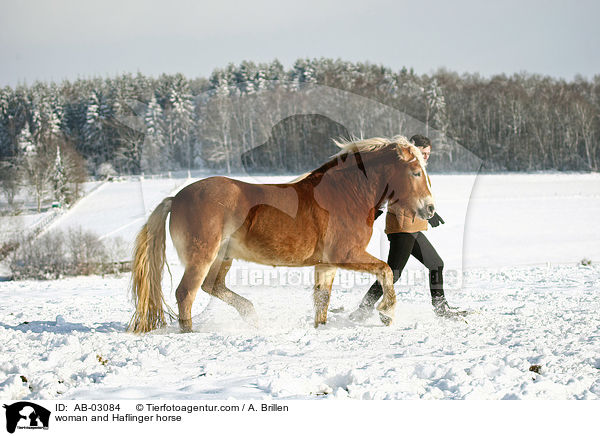 Frau und Haflinger / woman and Haflinger horse / AB-03084