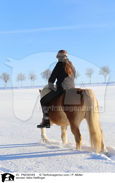 Frau reitet Haflinger / woman rides Haflinger / PM-06349