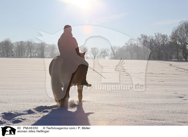 Frau reitet Haflinger / woman rides Haflinger / PM-06350