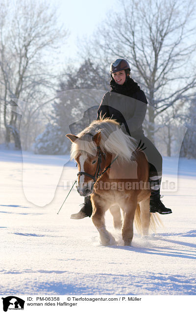 Frau reitet Haflinger / woman rides Haflinger / PM-06358