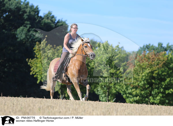 Frau reitet Haflinger / woman rides Haflinger Horse / PM-06776