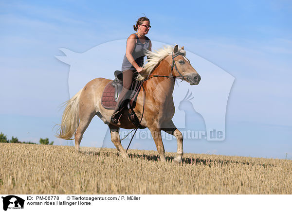 Frau reitet Haflinger / woman rides Haflinger Horse / PM-06778