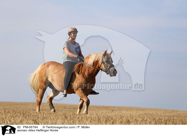 Frau reitet Haflinger / woman rides Haflinger Horse / PM-06784