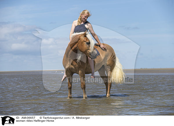 Frau reitet Haflinger / woman rides Haflinger Horse / AM-06657