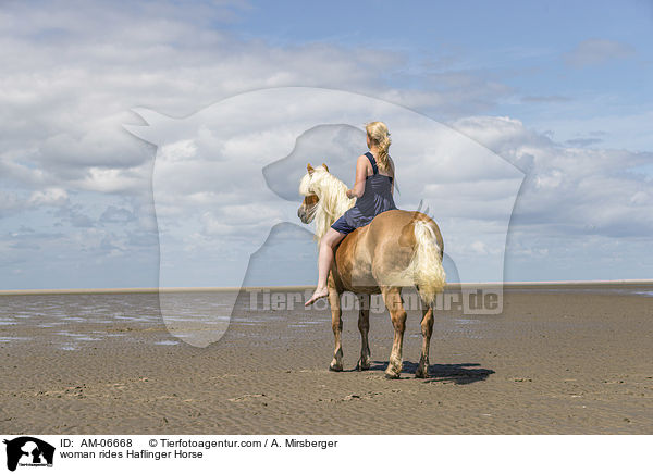 Frau reitet Haflinger / woman rides Haflinger Horse / AM-06668