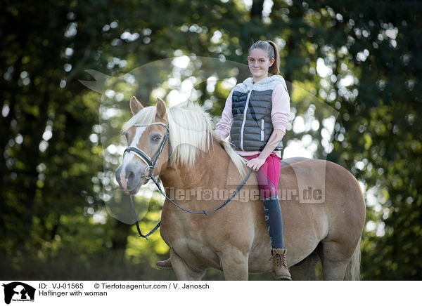 Haflinger with woman / VJ-01565