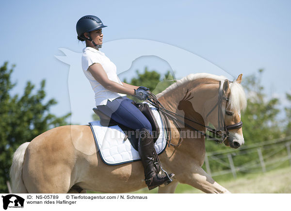 Frau reitet Haflinger / woman rides Haflinger / NS-05789