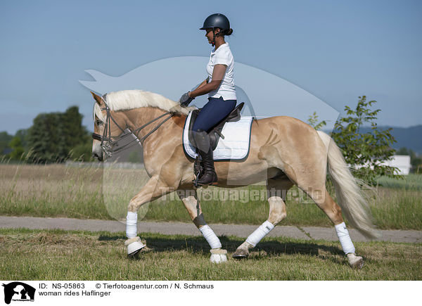 Frau reitet Haflinger / woman rides Haflinger / NS-05863