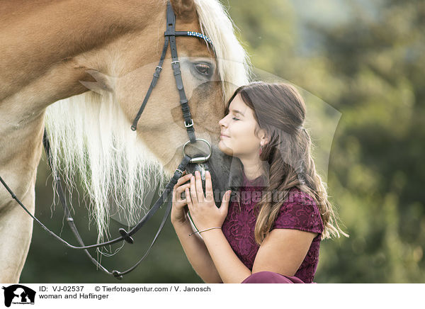 Frau und Haflinger / woman and Haflinger / VJ-02537