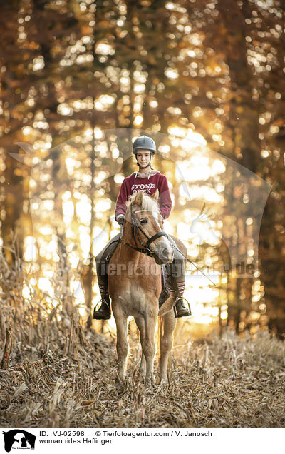 Frau reitet Haflinger / woman rides Haflinger / VJ-02598