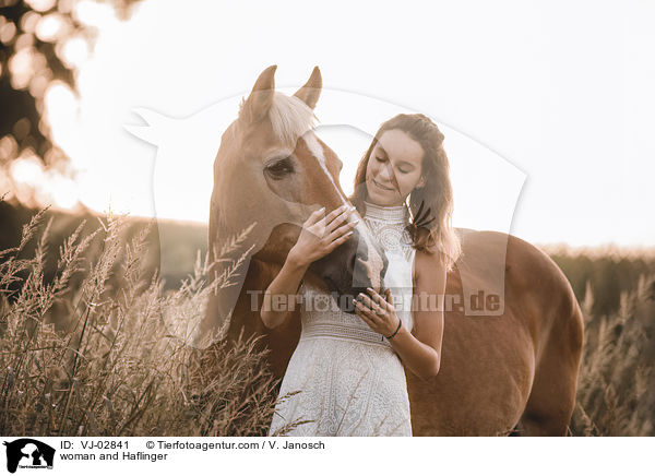 Frau und Haflinger / woman and Haflinger / VJ-02841