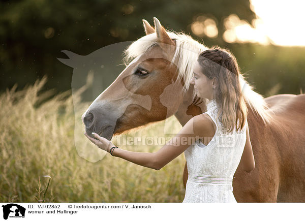 Frau und Haflinger / woman and Haflinger / VJ-02852