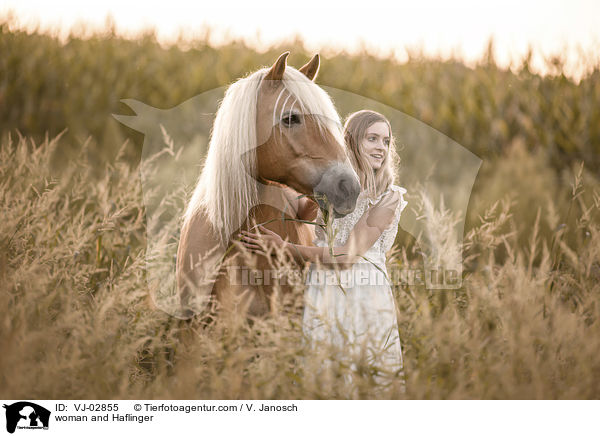 Frau und Haflinger / woman and Haflinger / VJ-02855