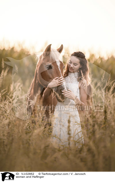 Frau und Haflinger / woman and Haflinger / VJ-02862