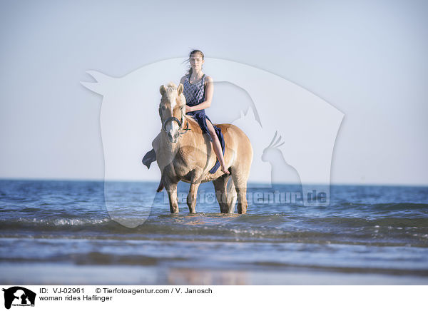 Frau reitet Haflinger / woman rides Haflinger / VJ-02961