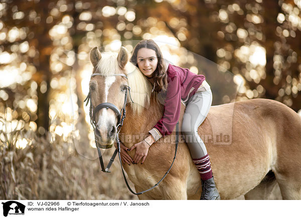 Frau reitet Haflinger / woman rides Haflinger / VJ-02966