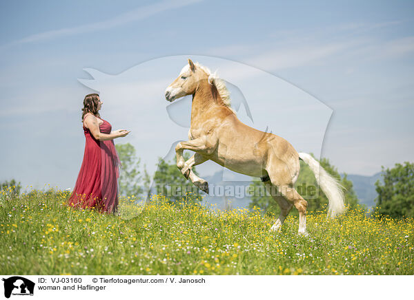 Frau und Haflinger / woman and Haflinger / VJ-03160