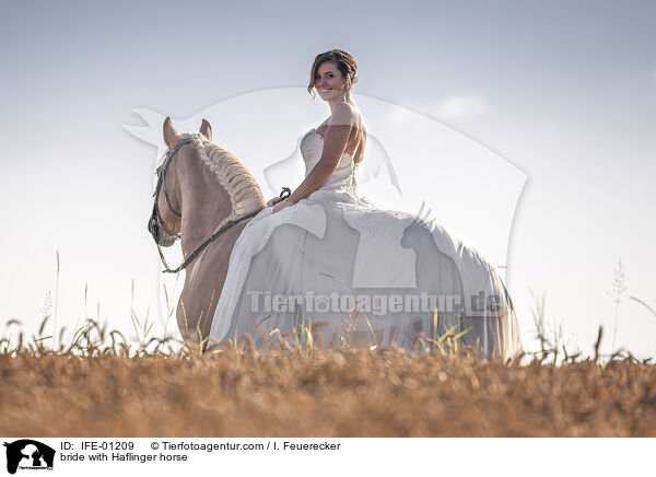 bride with Haflinger horse / IFE-01209