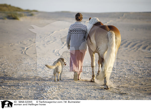 Frau und Haflinger / woman and Haflinger horse / MAB-02065