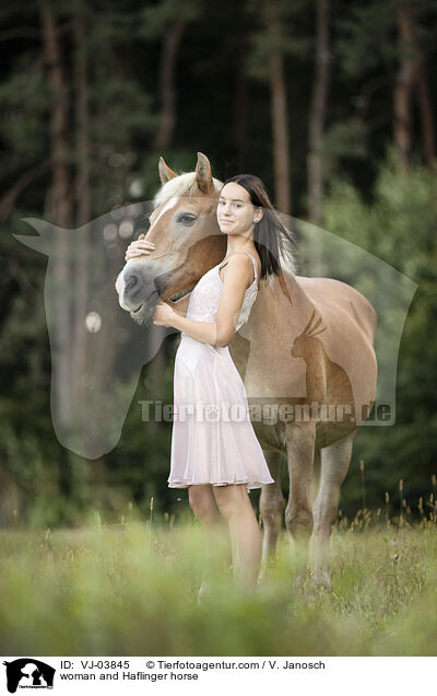 Frau und Haflinger / woman and Haflinger horse / VJ-03845